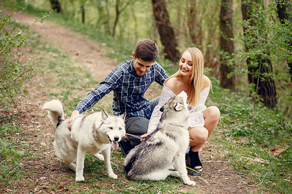 Inexpensive First Date Ideas - Couple with dogs walking