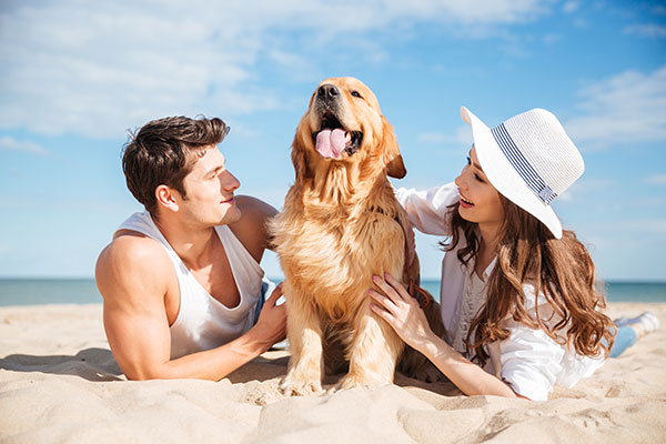 Dating couples at the beach