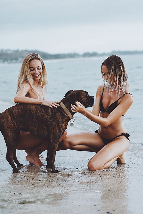 Dating Tip: Single Women Are Biggest Animal Lovers